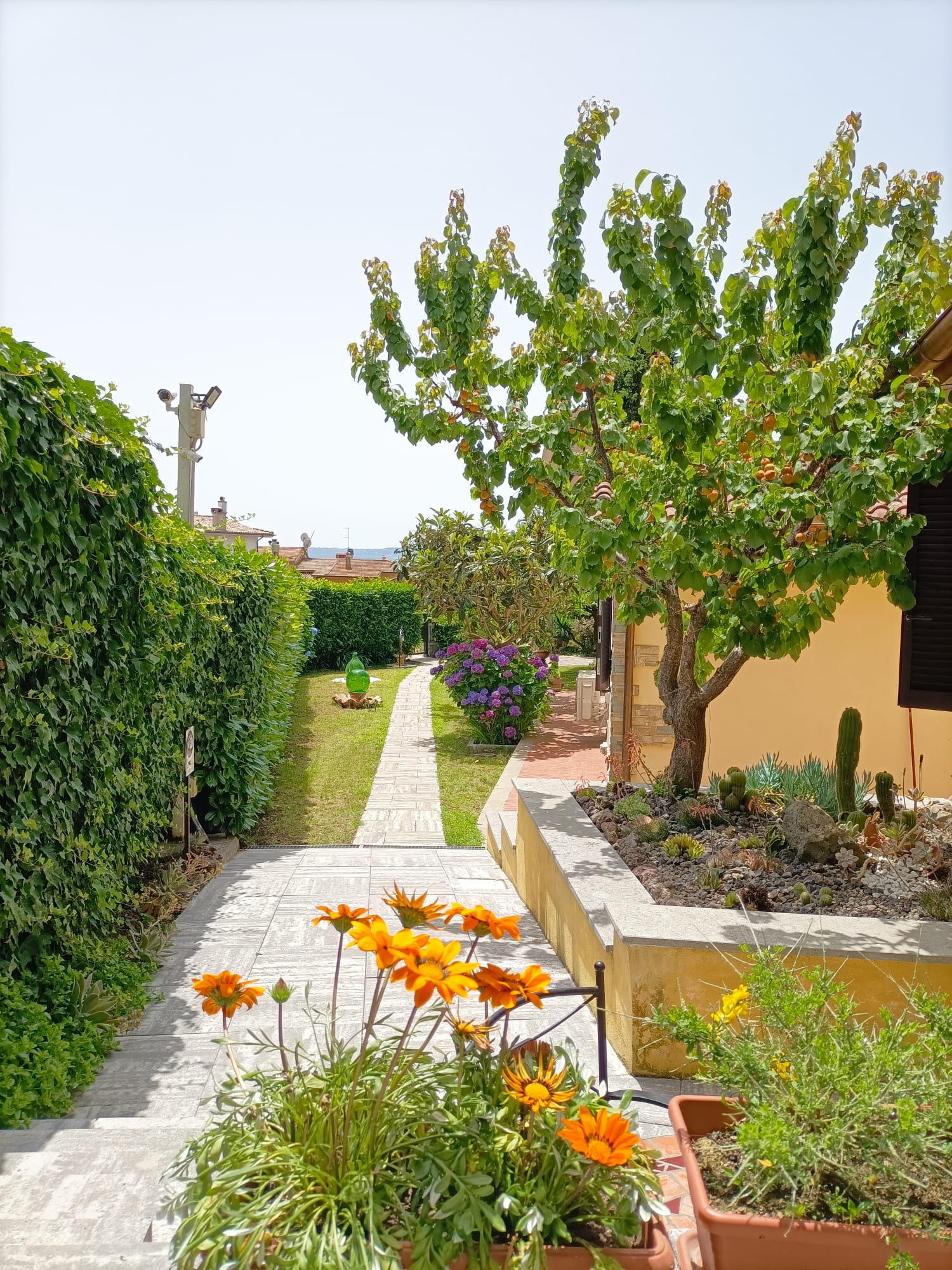 Luxury House Gallery